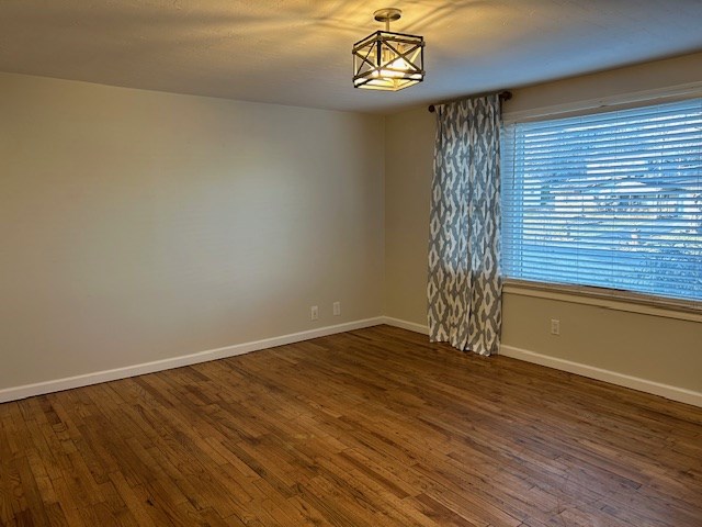 unfurnished room with dark wood-type flooring