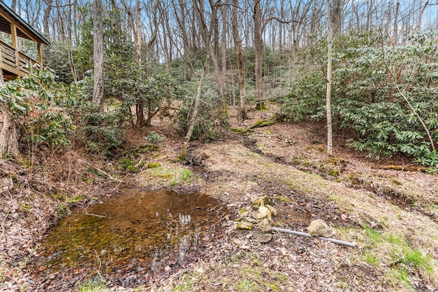 799 Crystal Springs Dr, Fancy Gap, VA 24328 - view of local wilderness