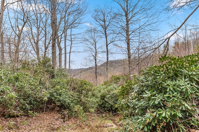 799 Crystal Springs Dr, Fancy Gap, VA 24328 - view of local wilderness