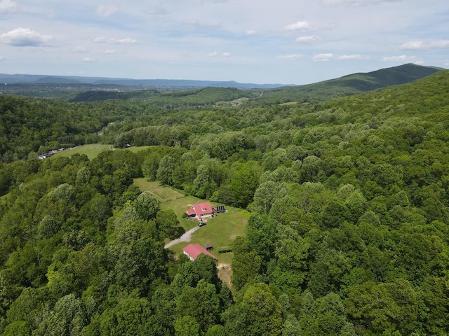 200 Stroupe Mountain Rd, Wytheville, VA 24382 - photo 52