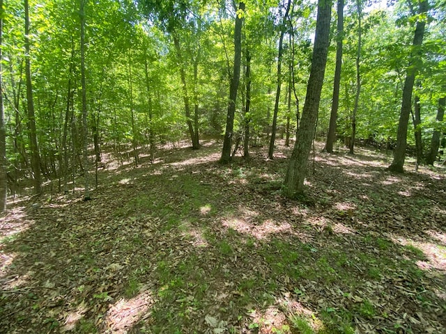 200 Stroupe Mountain Rd, Wytheville, VA 24382 - photo 45