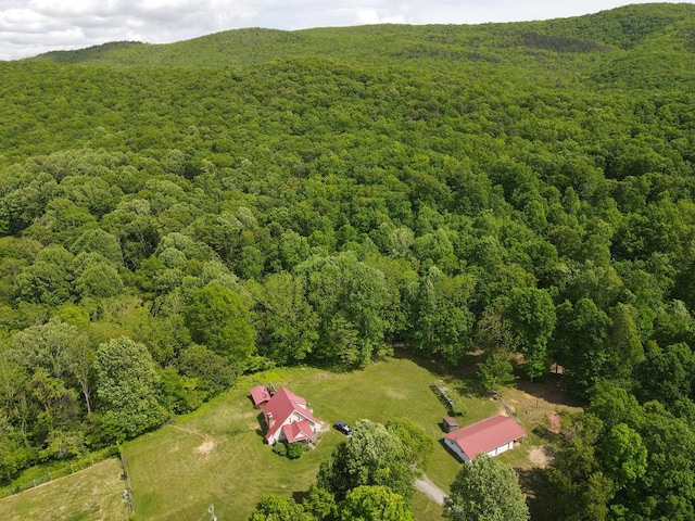 200 Stroupe Mountain Rd, Wytheville, VA 24382 - photo 54