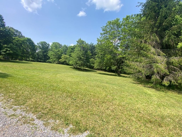 200 Stroupe Mountain Rd, Wytheville, VA 24382 - photo 61