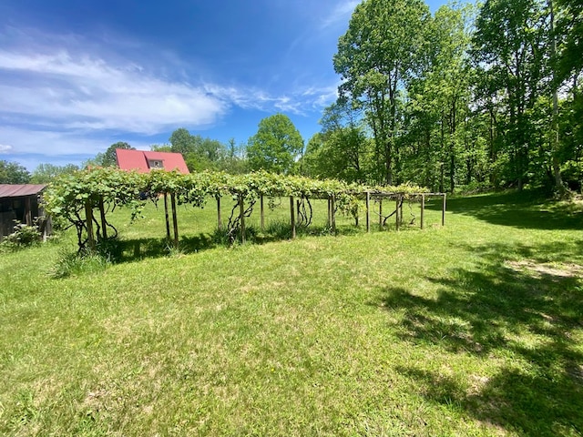 200 Stroupe Mountain Rd, Wytheville, VA 24382 - photo 41