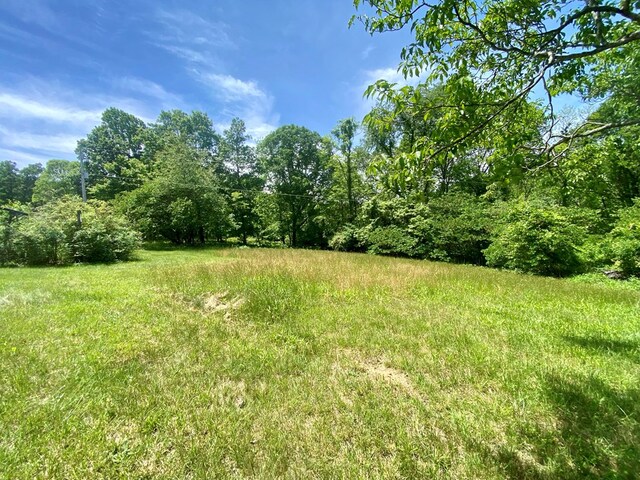 200 Stroupe Mountain Rd, Wytheville, VA 24382 - photo 37