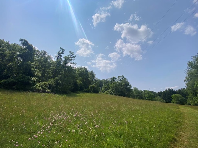 200 Stroupe Mountain Rd, Wytheville, VA 24382 - photo 65