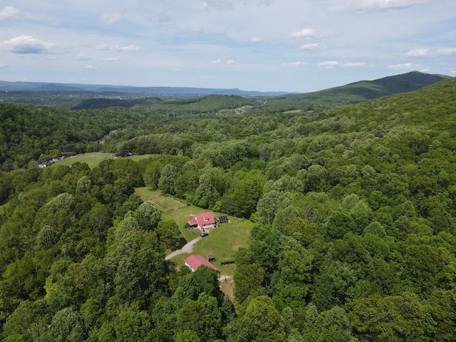 200 Stroupe Mountain Rd, Wytheville, VA 24382 - photo 53