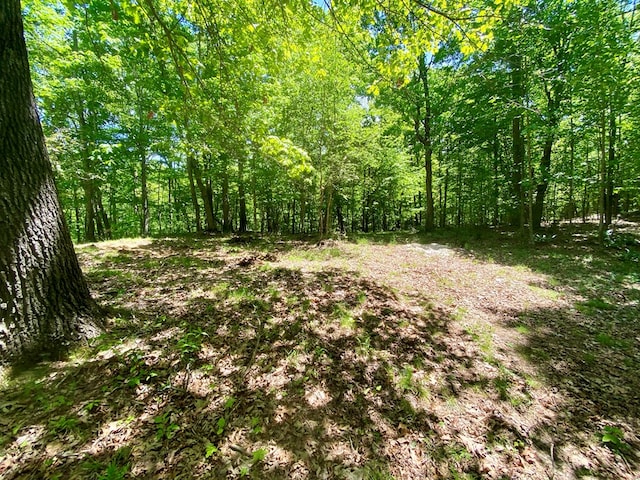 200 Stroupe Mountain Rd, Wytheville, VA 24382 - photo 44