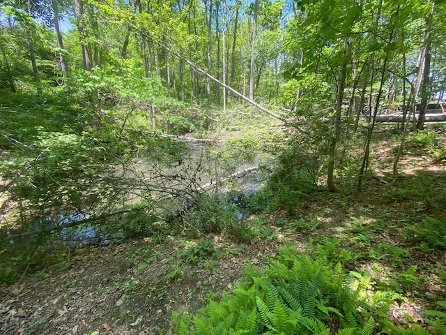 200 Stroupe Mountain Rd, Wytheville, VA 24382 - photo 47