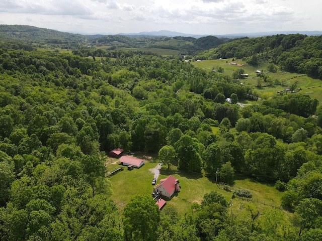 200 Stroupe Mountain Rd, Wytheville, VA 24382 - photo 58