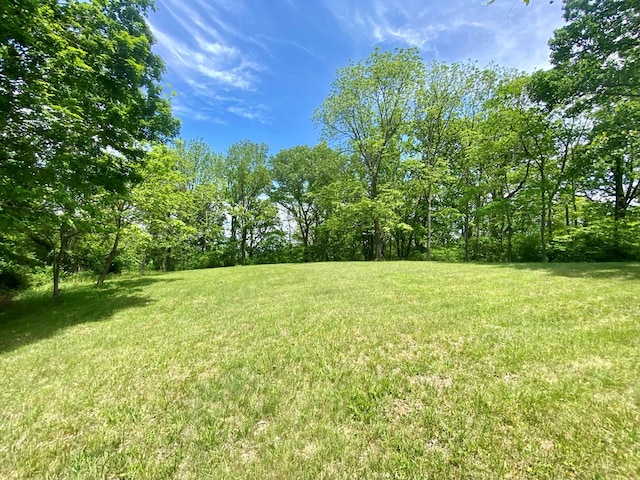 200 Stroupe Mountain Rd, Wytheville, VA 24382 - photo 38