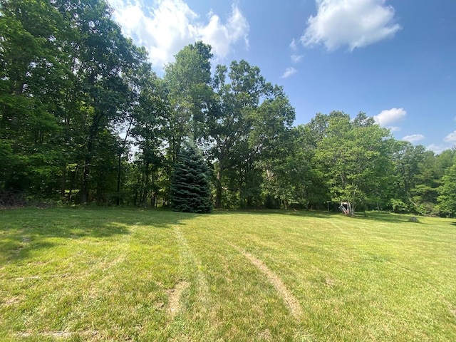 200 Stroupe Mountain Rd, Wytheville, VA 24382 - photo 59