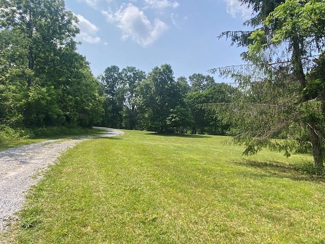 200 Stroupe Mountain Rd, Wytheville, VA 24382 - photo 62