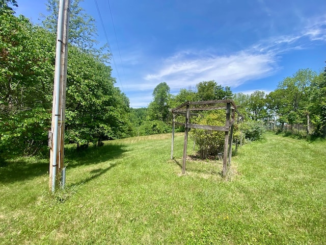 200 Stroupe Mountain Rd, Wytheville, VA 24382 - photo 39