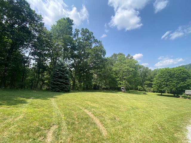200 Stroupe Mountain Rd, Wytheville, VA 24382 - photo 60
