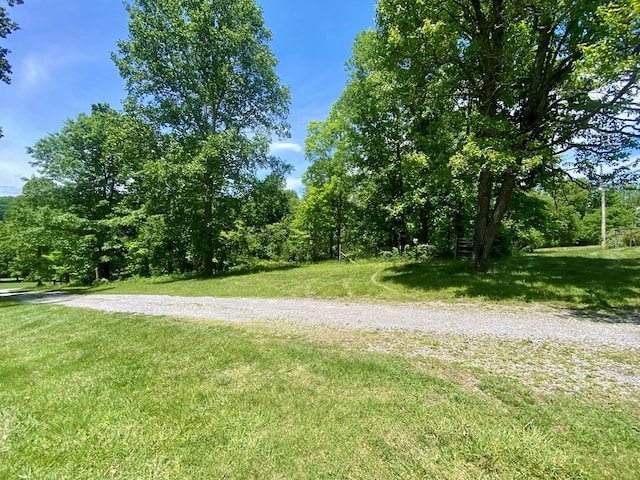 200 Stroupe Mountain Rd, Wytheville, VA 24382 - photo 49