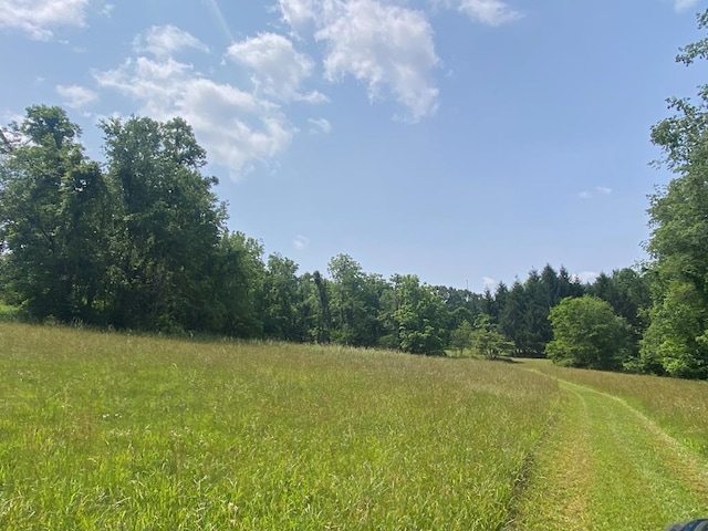 200 Stroupe Mountain Rd, Wytheville, VA 24382 - photo 67