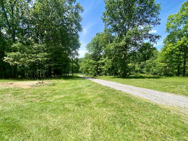 200 Stroupe Mountain Rd, Wytheville, VA 24382 - photo 29