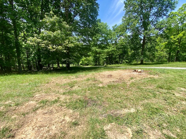 200 Stroupe Mountain Rd, Wytheville, VA 24382 - photo 31