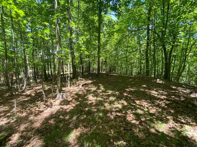 200 Stroupe Mountain Rd, Wytheville, VA 24382 - photo 46