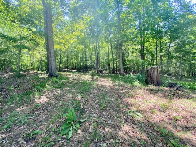 200 Stroupe Mountain Rd, Wytheville, VA 24382 - photo 42
