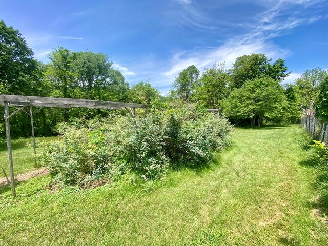 200 Stroupe Mountain Rd, Wytheville, VA 24382 - photo 35