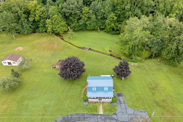 drone / aerial view