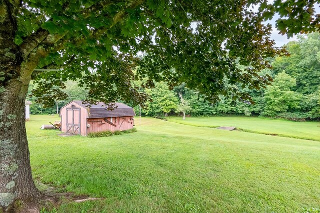view of yard featuring an outbuilding and a shed