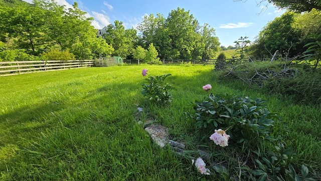 1229 Cooks Valley Rd, Kingsport, TN 37664 - photo 35