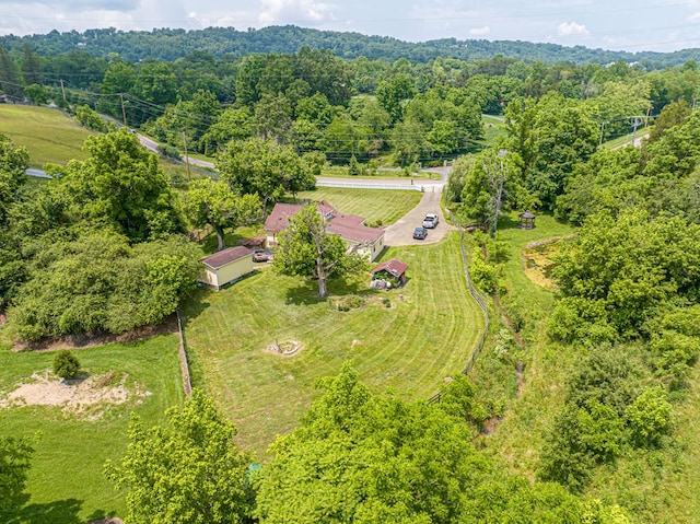 1229 Cooks Valley Rd, Kingsport, TN 37664 - photo 12