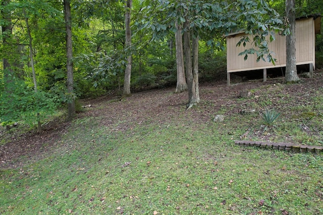 view of yard featuring an outdoor structure