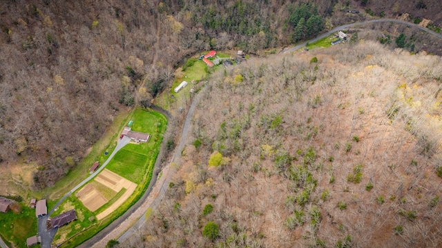 1620 Indian Creek Rd, Bee, VA 24217