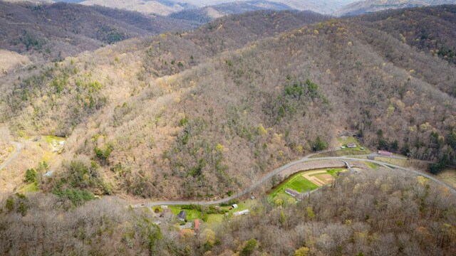 1620 Indian Creek Rd, Bee, VA 24217
