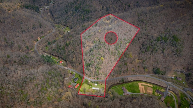 1620 Indian Creek Rd, Bee, VA 24217
