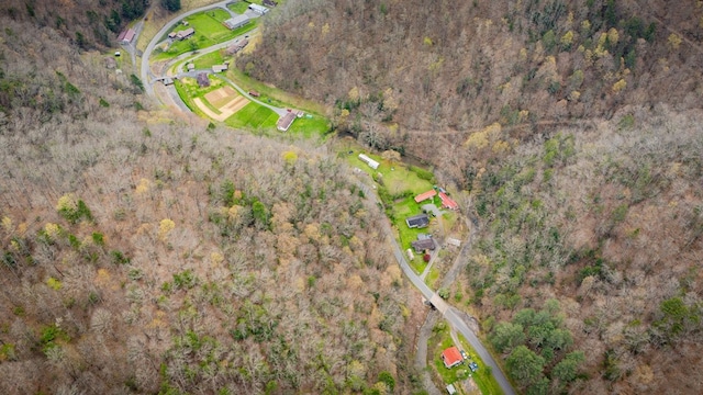 1620 Indian Creek Rd, Bee, VA 24217