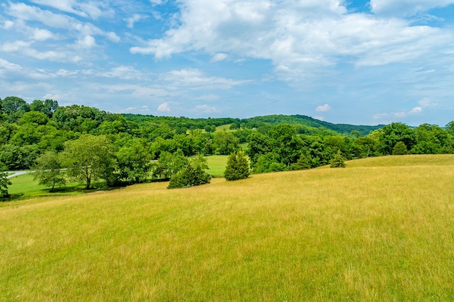 127 Trout Farm Rd, Rural Retreat, VA 24368 - photo 74