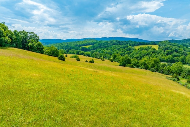 127 Trout Farm Rd, Rural Retreat, VA 24368 - photo 69