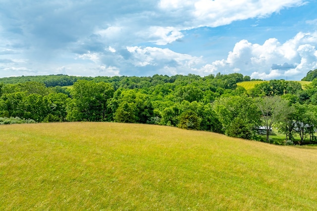 127 Trout Farm Rd, Rural Retreat, VA 24368 - photo 73