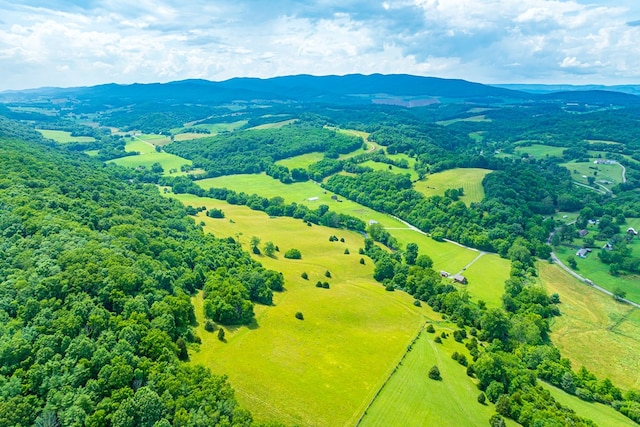 127 Trout Farm Rd, Rural Retreat, VA 24368 - photo 81