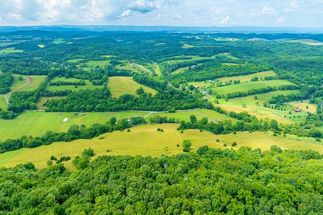 127 Trout Farm Rd, Rural Retreat, VA 24368 - photo 84