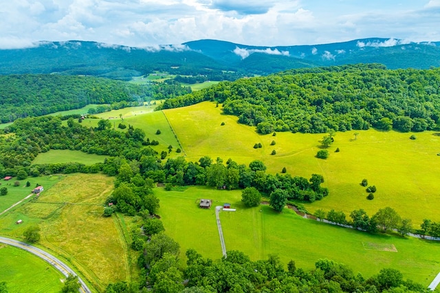 127 Trout Farm Rd, Rural Retreat, VA 24368 - photo 79