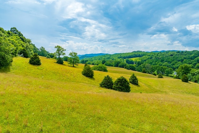 127 Trout Farm Rd, Rural Retreat, VA 24368 - photo 71