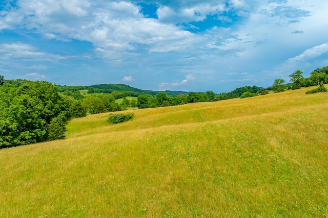 127 Trout Farm Rd, Rural Retreat, VA 24368 - photo 75