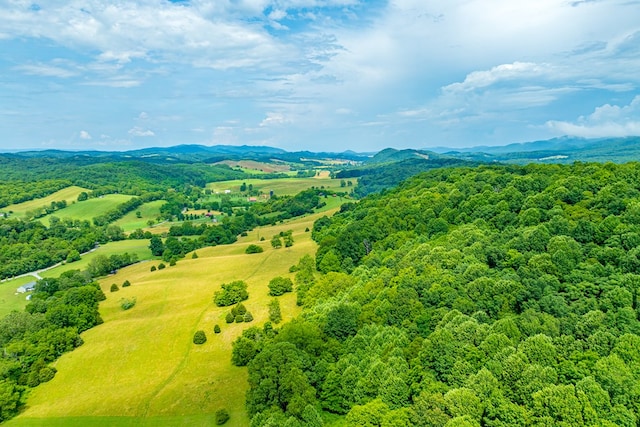 127 Trout Farm Rd, Rural Retreat, VA 24368 - photo 83