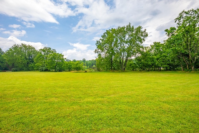 127 Trout Farm Rd, Rural Retreat, VA 24368 - photo 45
