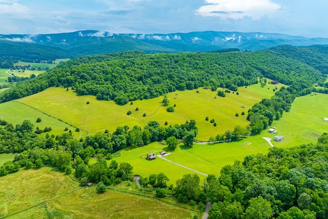 127 Trout Farm Rd, Rural Retreat, VA 24368 - photo 5