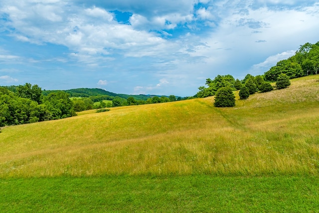 127 Trout Farm Rd, Rural Retreat, VA 24368 - photo 78