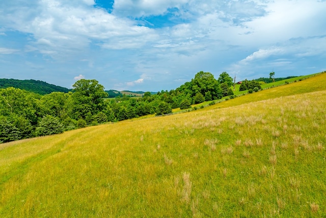 127 Trout Farm Rd, Rural Retreat, VA 24368 - photo 72