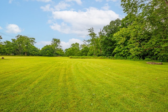 127 Trout Farm Rd, Rural Retreat, VA 24368 - photo 46