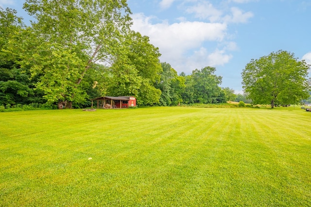 127 Trout Farm Rd, Rural Retreat, VA 24368 - photo 44
